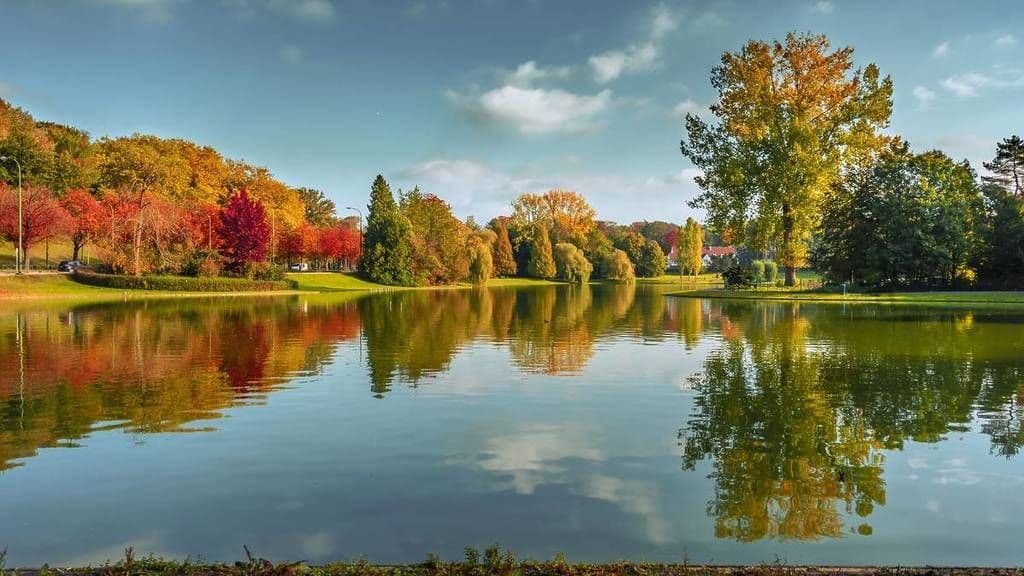 Parc Woluwe.jpg Woluwe Park and its Ponds