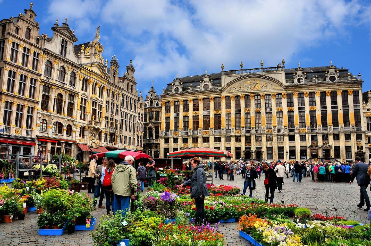Brussels à la Carte: The Ultimate Market Guide to Live Like a Local Blog Detail Bottom 1