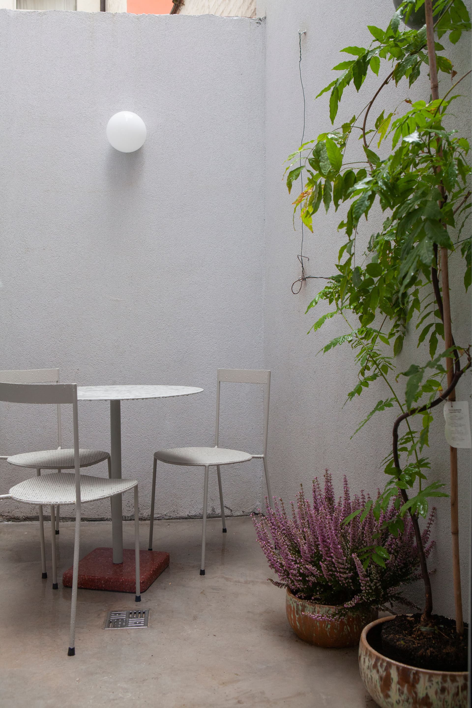 Gallery Image 11 Gallery Image 11