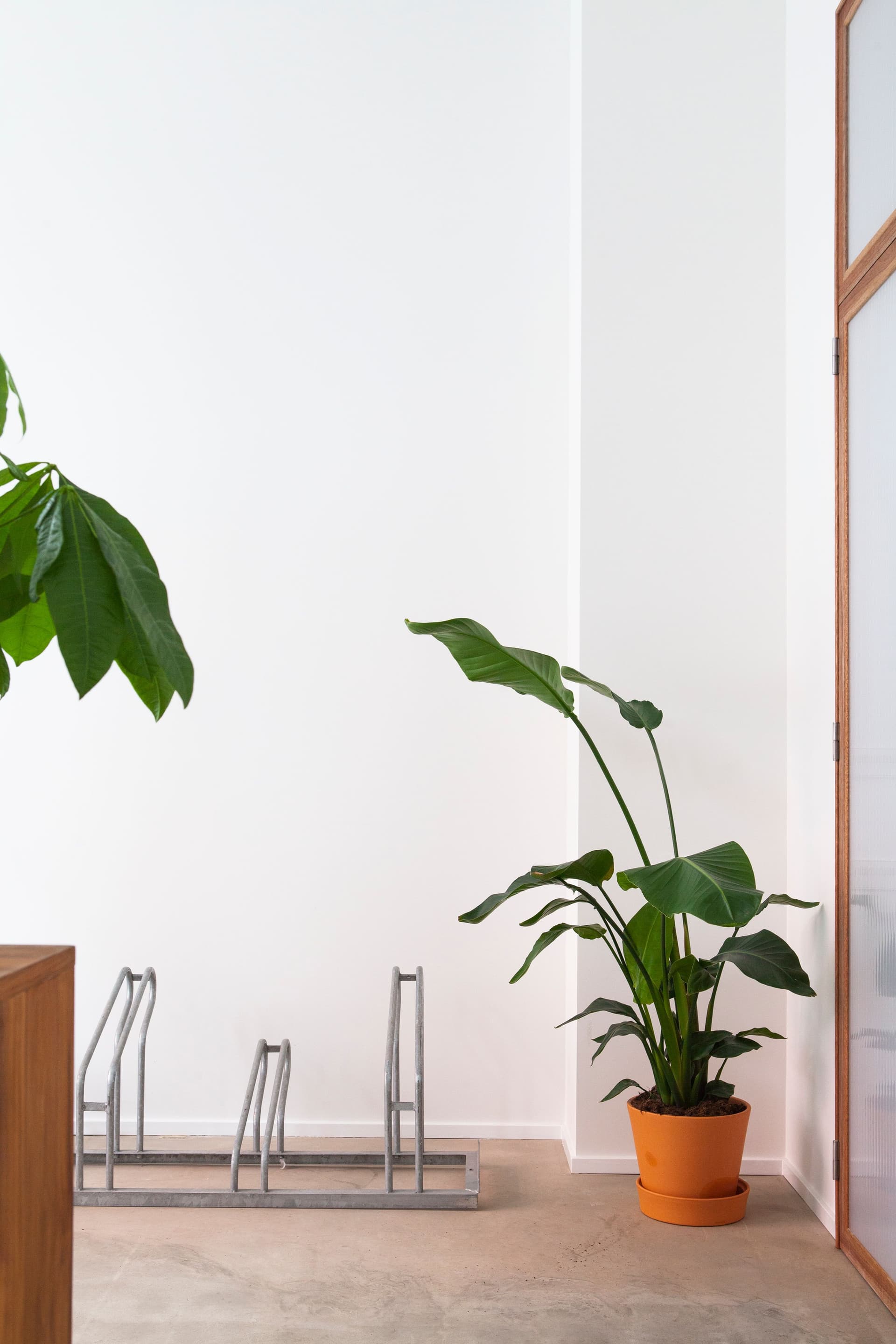 community-life community-life