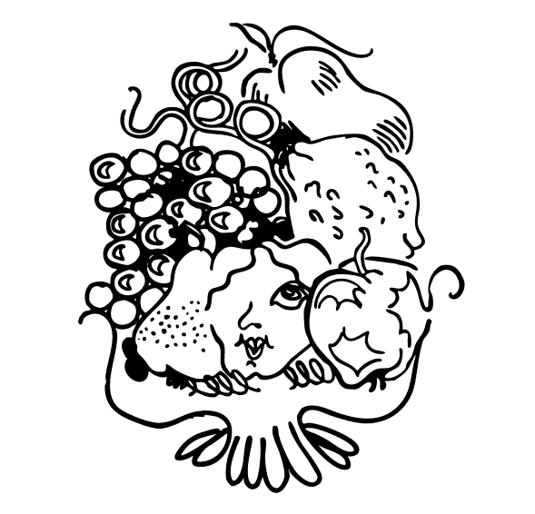 Everything you need all in one price Everything you need all in one price